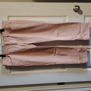 Ann Taylor Loft Pink Capri Size 29/8P Boyfriend